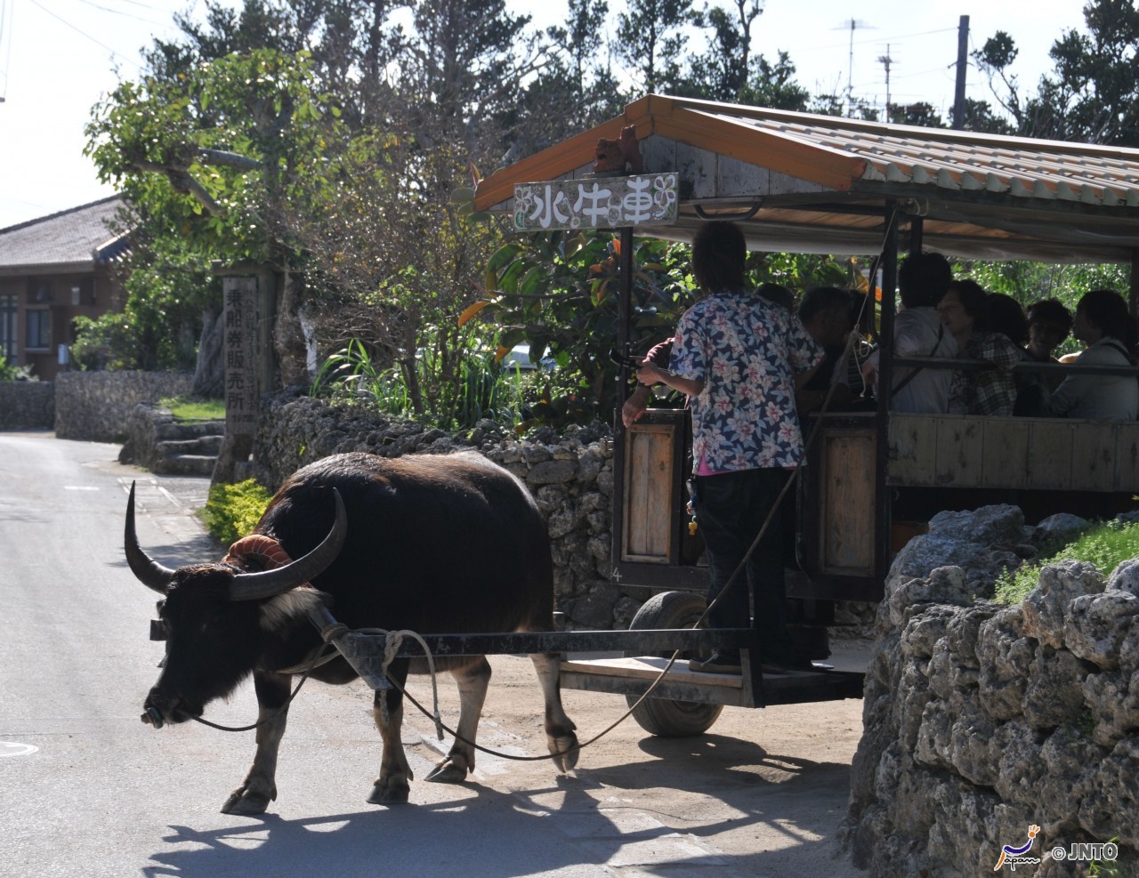 Yaeyama Islands Japan 1 