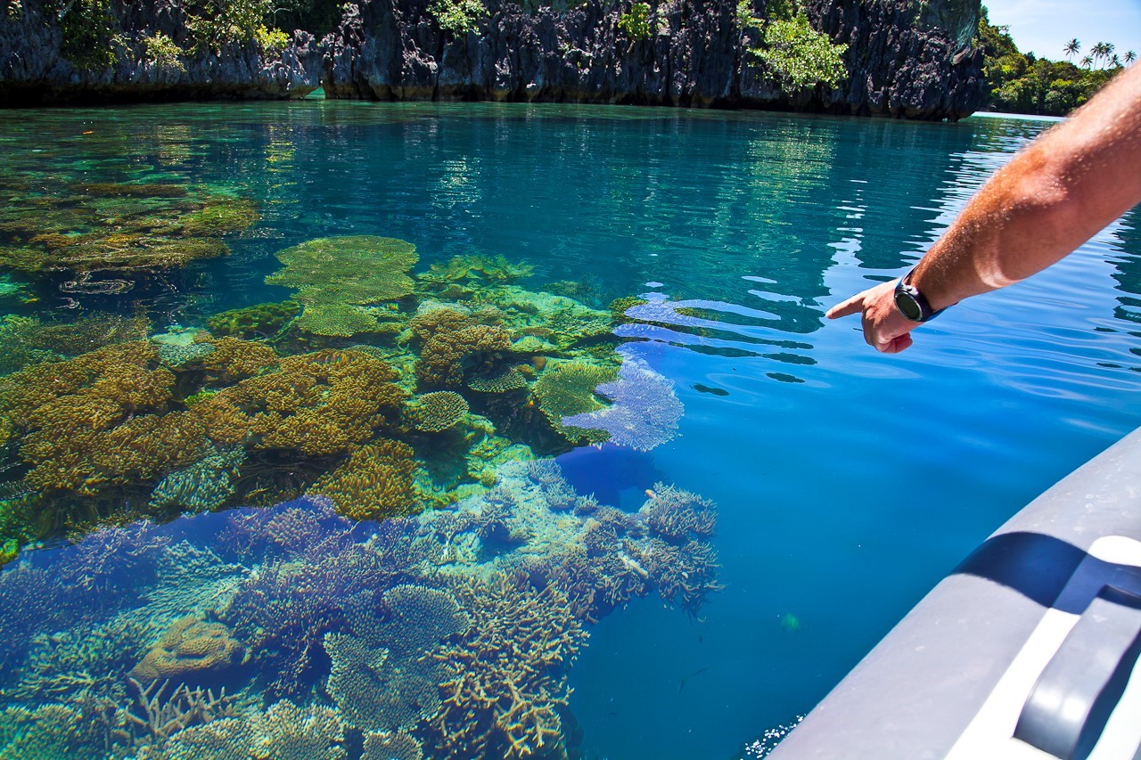 Dunia Baru Komodo Islands Indonesia 24 
