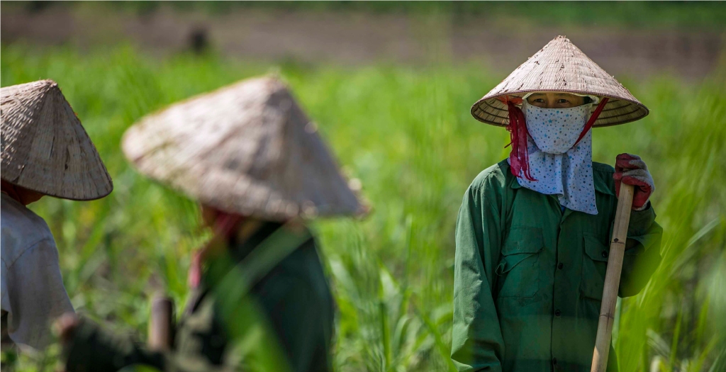 Alma Courtyard Hoi An Hoi An Vietnam 32 