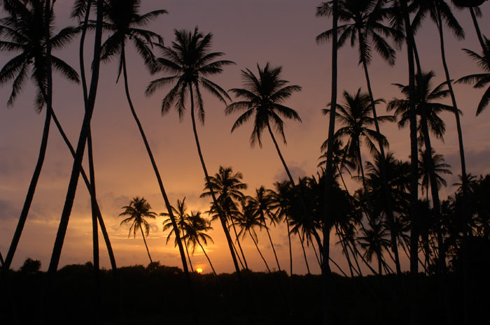 Club Villa Bentota Sri Lanka 8 