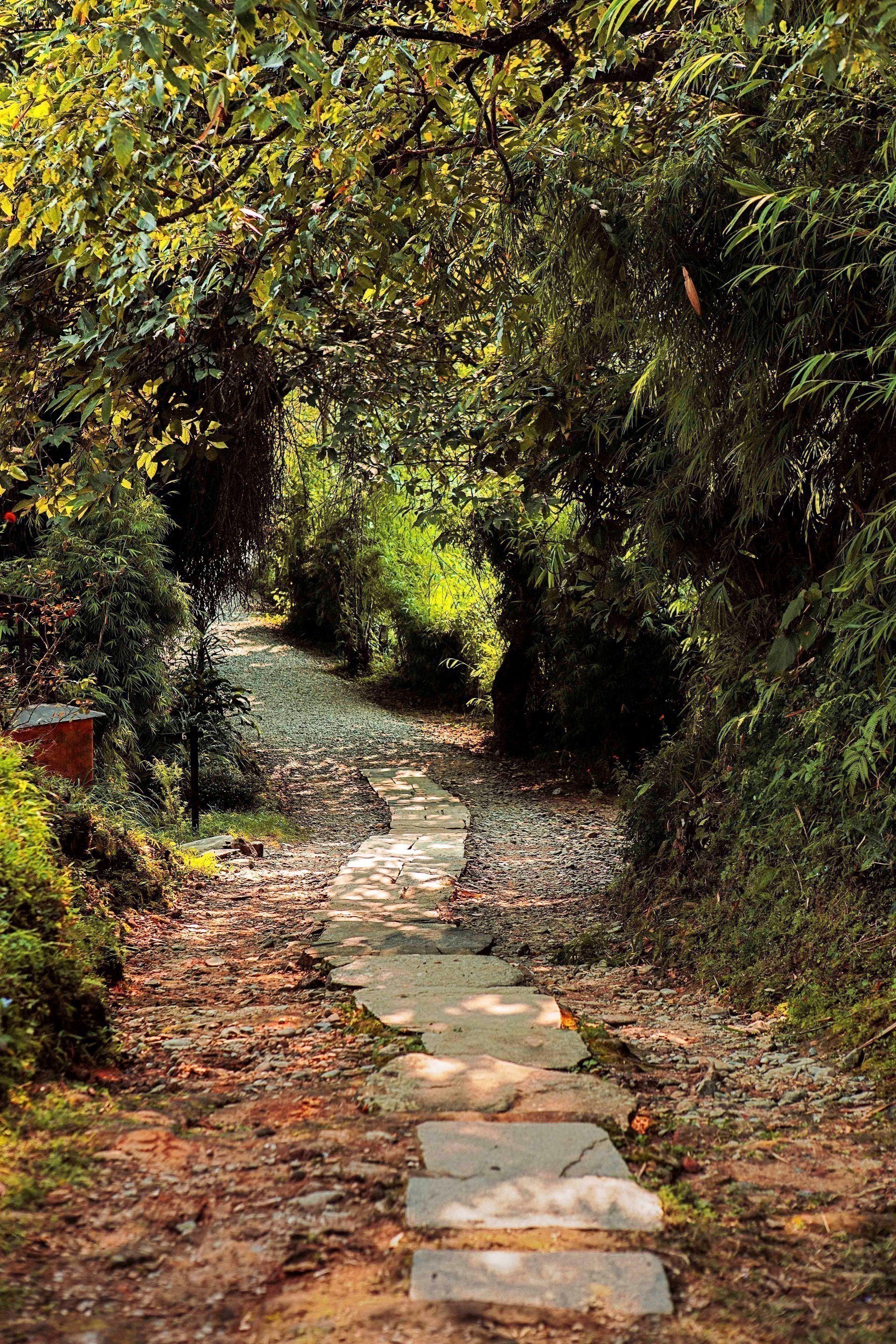 Tiger Mountain Pokhara Lodge Pokhara Nepal 16 