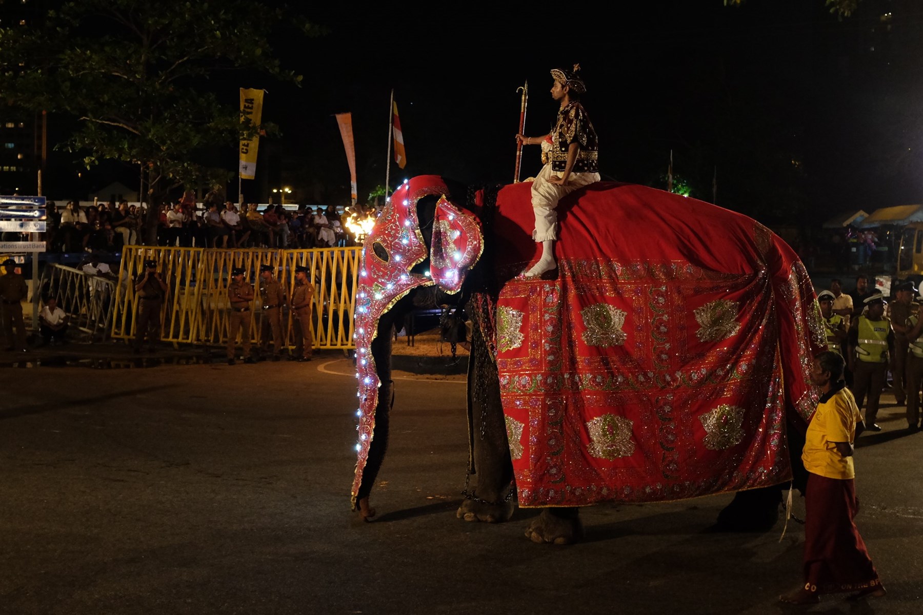 Marcus Troiano Sri Lanka 11