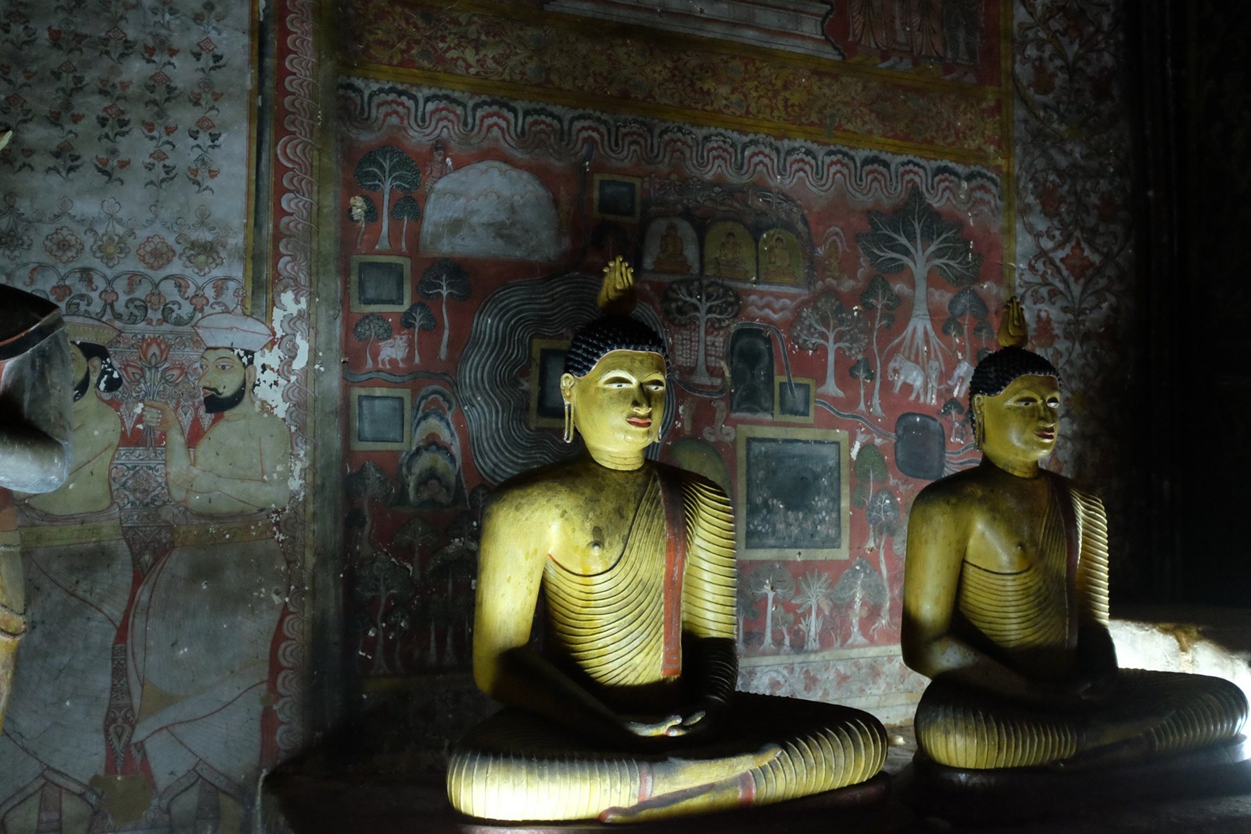 Marcus Troiano Sri Lanka 19