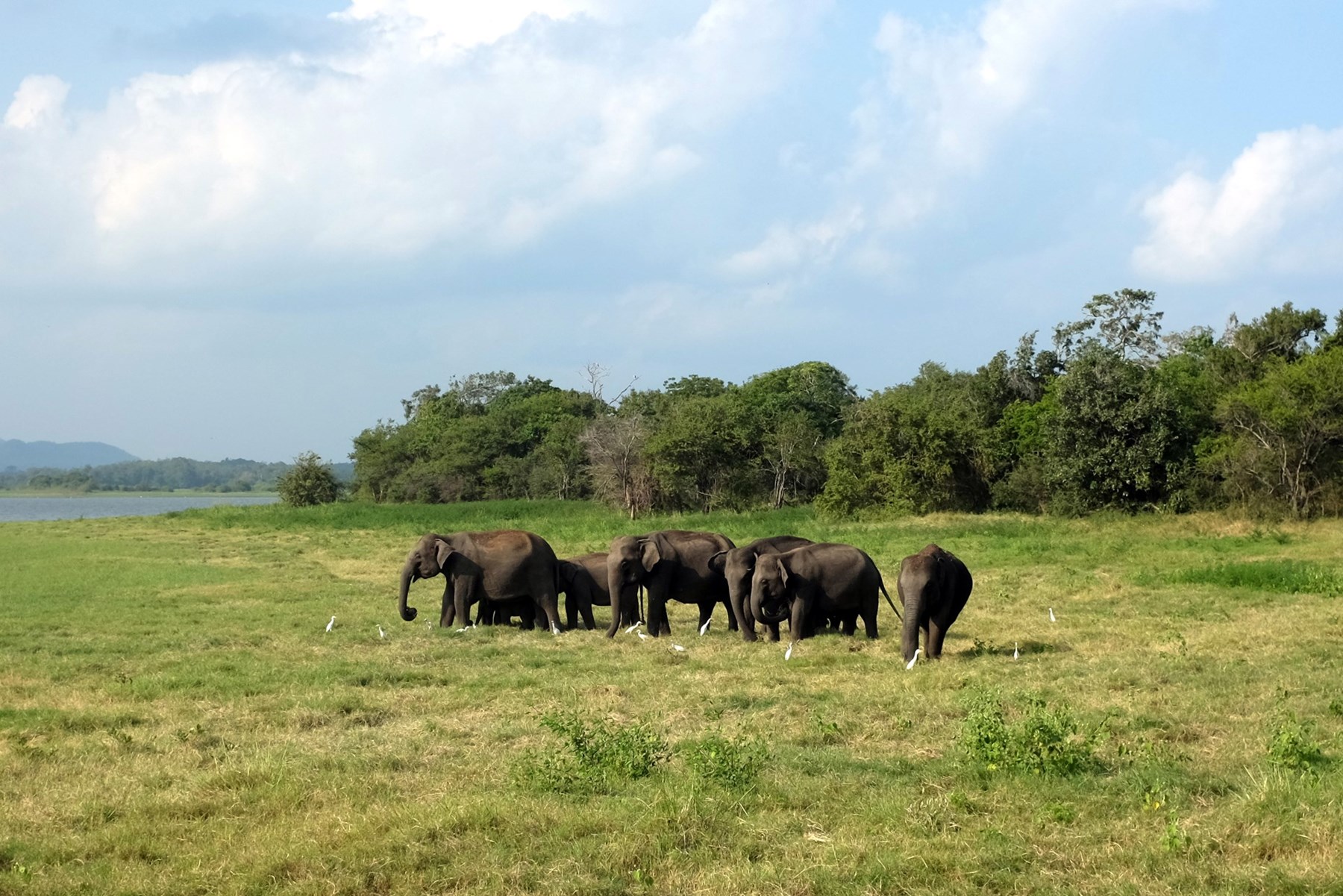Marcus Troiano Sri Lanka 36