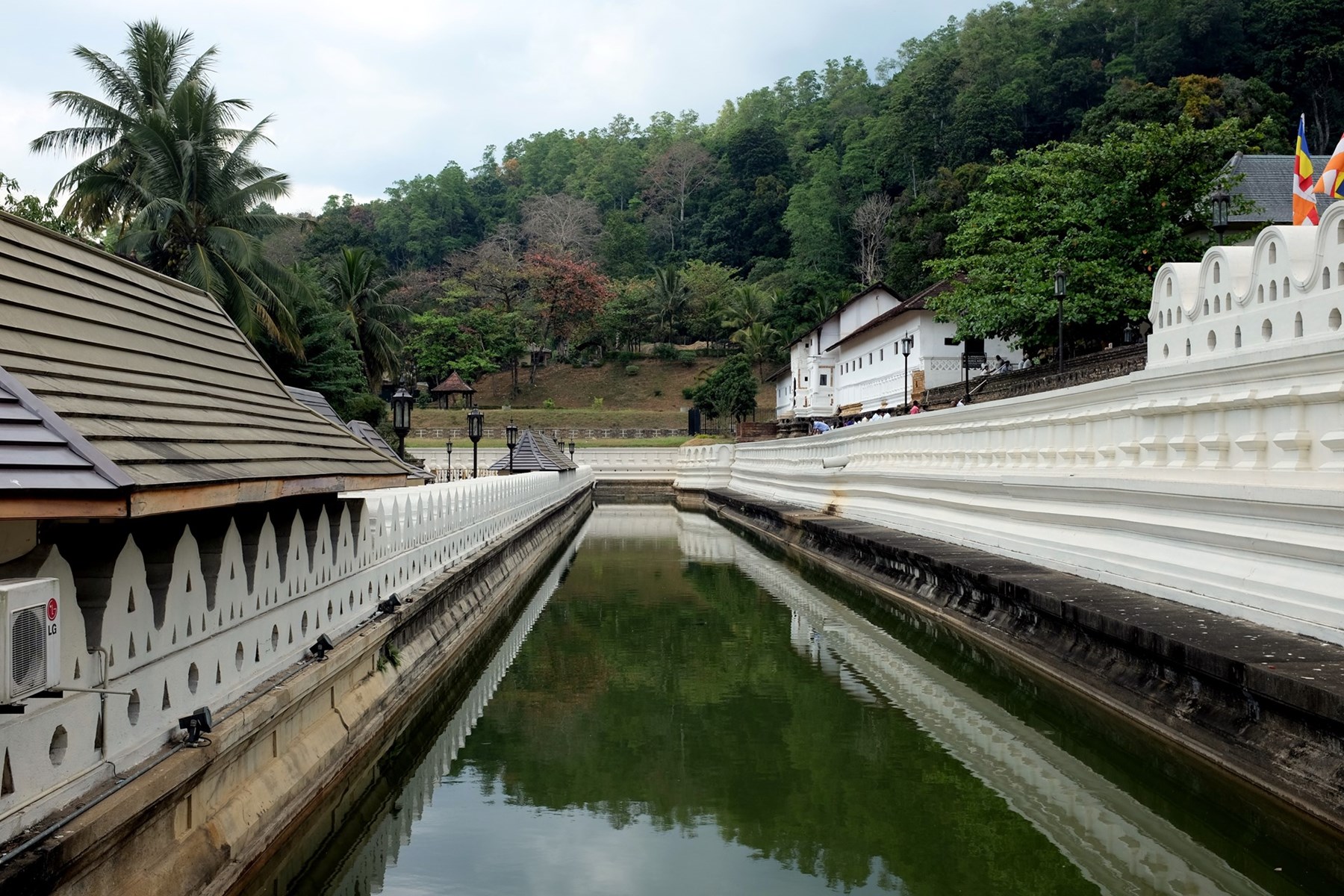 Marcus Troiano Sri Lanka 50