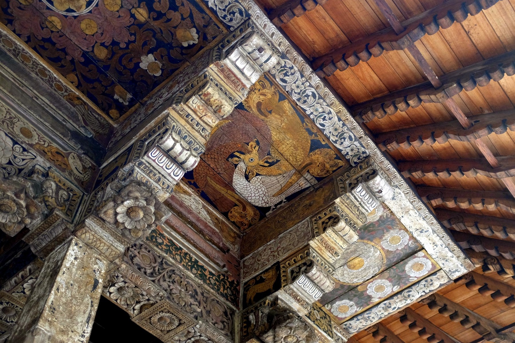 Marcus Troiano Sri Lanka 53