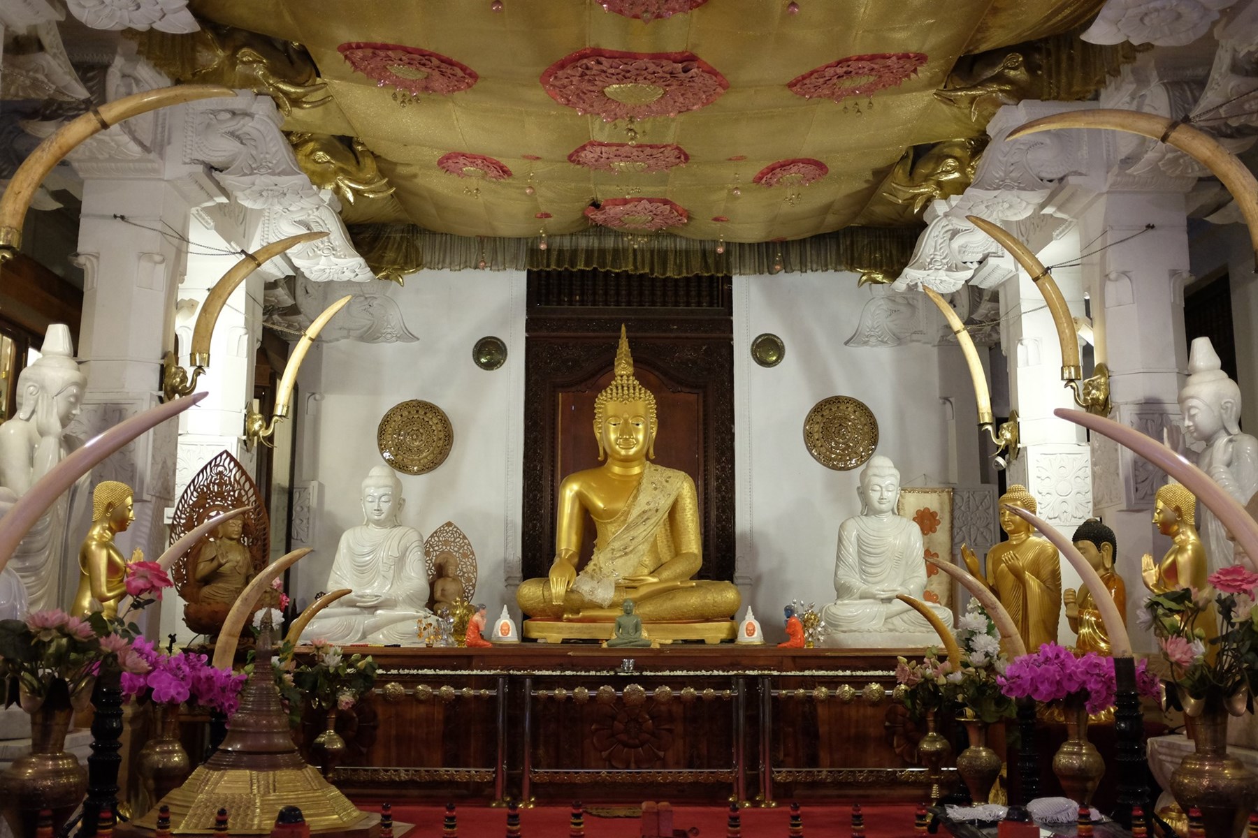 Marcus Troiano Sri Lanka 54