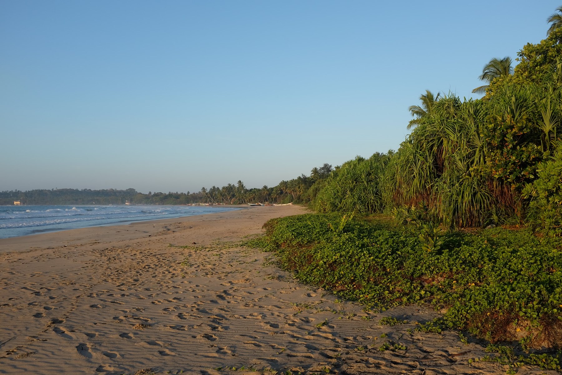 Marcus Troiano Sri Lanka 82