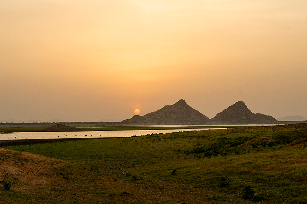 Jawai Leopard Camp Kumbhalgarh North India SUJAN 11 