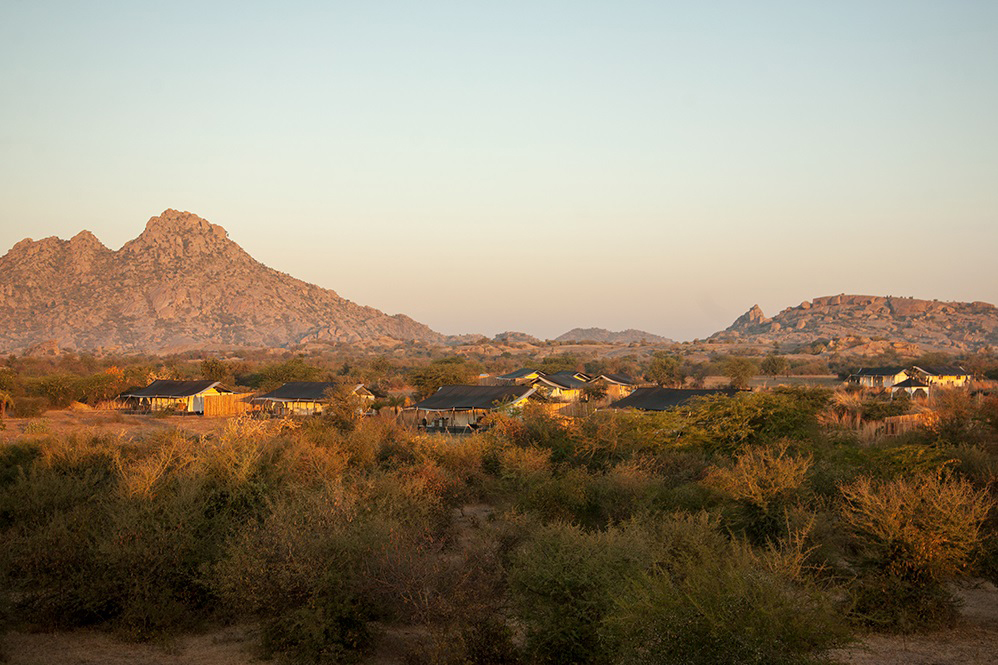 Jawai Leopard Camp Kumbhalgarh North India SUJAN 17 