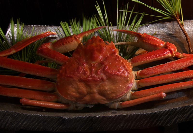 Lamp No Yado Noto Peninsula Japan 6 