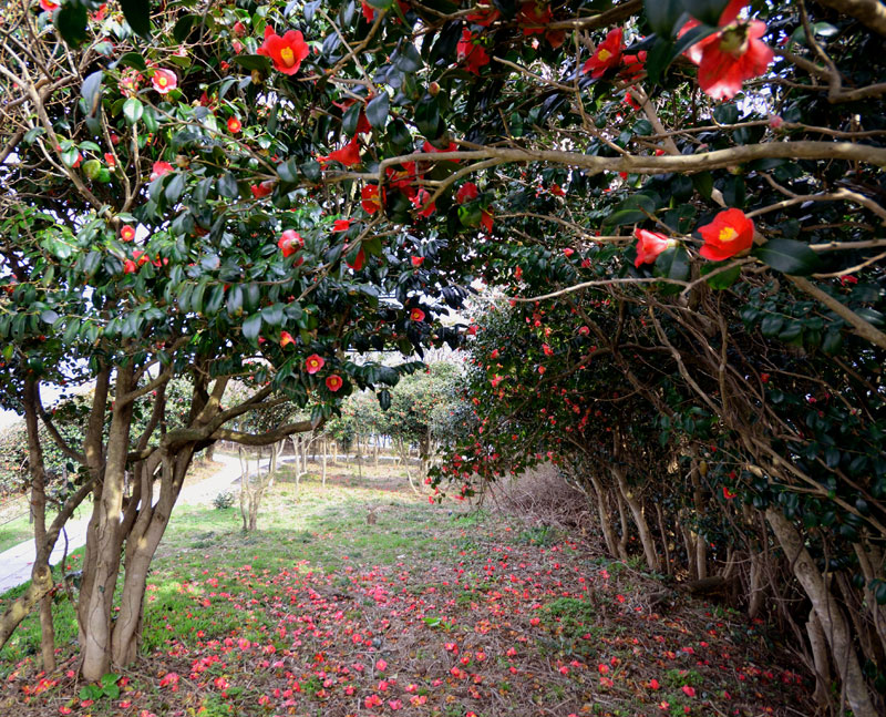 Lamp No Yado Noto Peninsula Japan 23 
