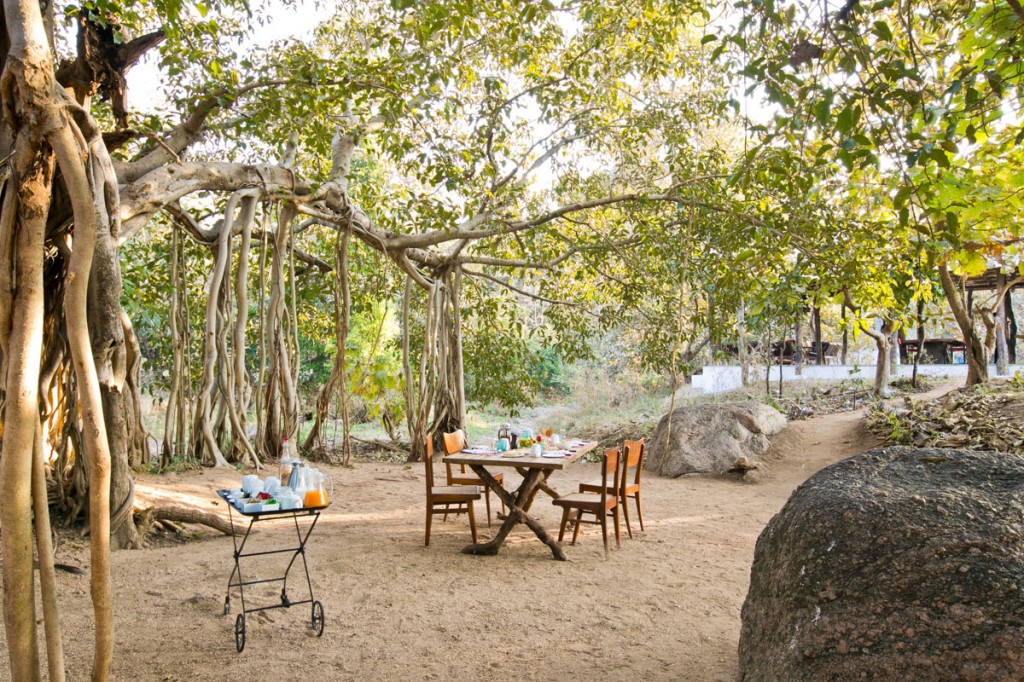 Jamtara Wilderness Camp Pench National Park North India 6 