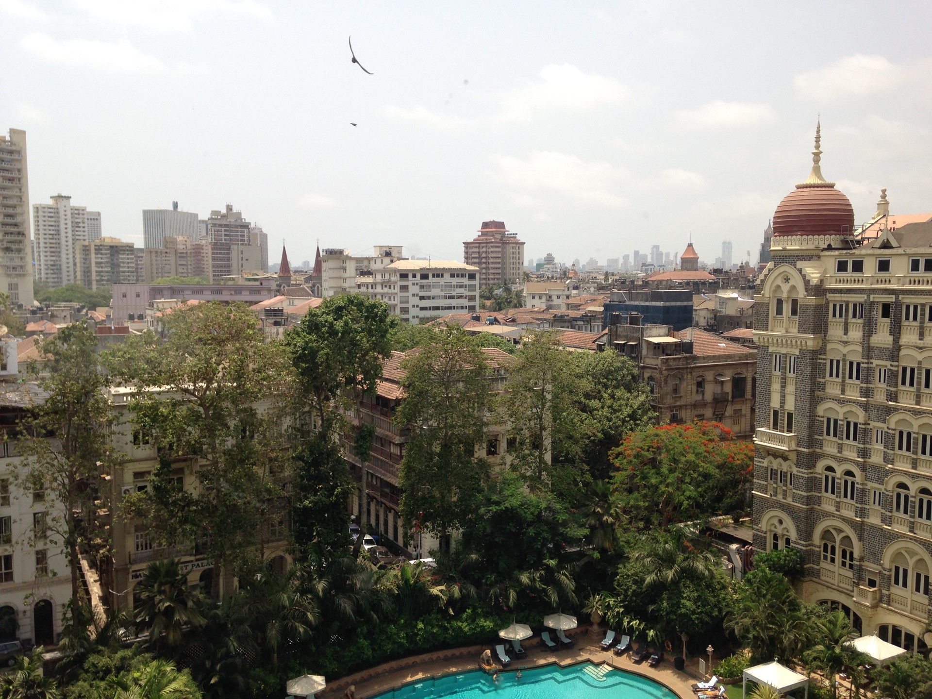 A Jewish Heritage Tour Of India 13 