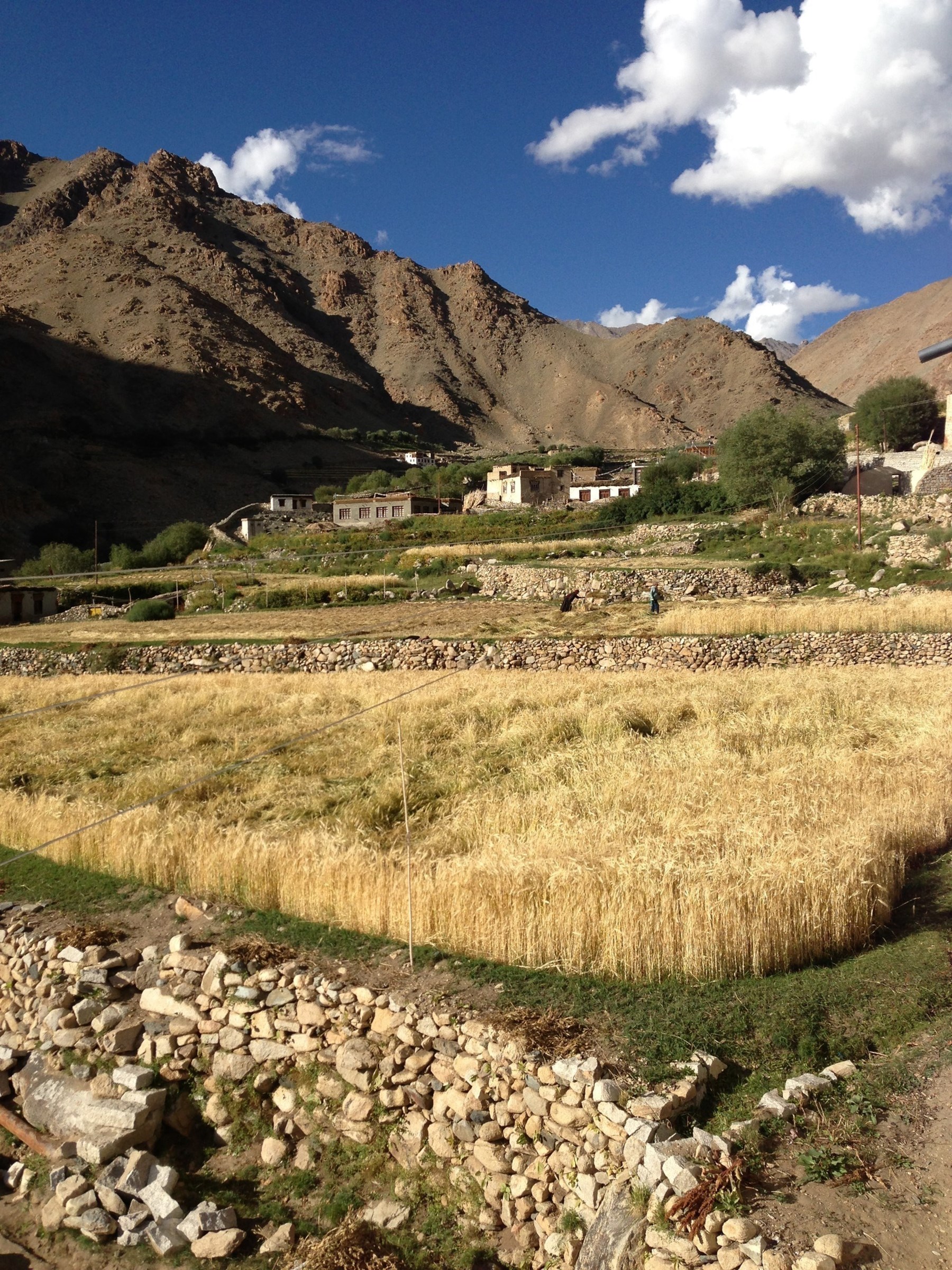 Ladakh North India James Jayasundera FAM Trip 16