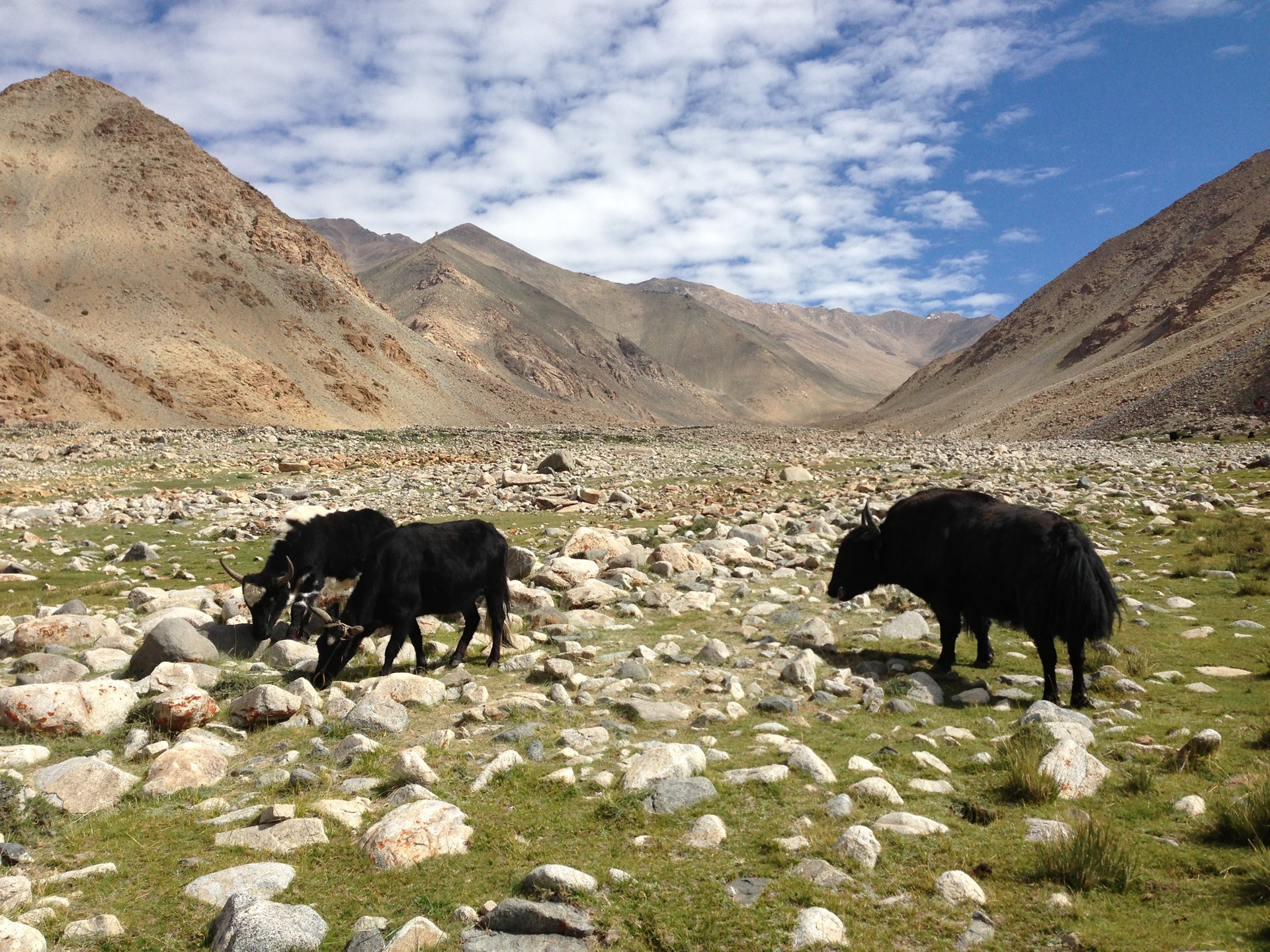 Ladakh North India James Jayasundera FAM Trip 17 