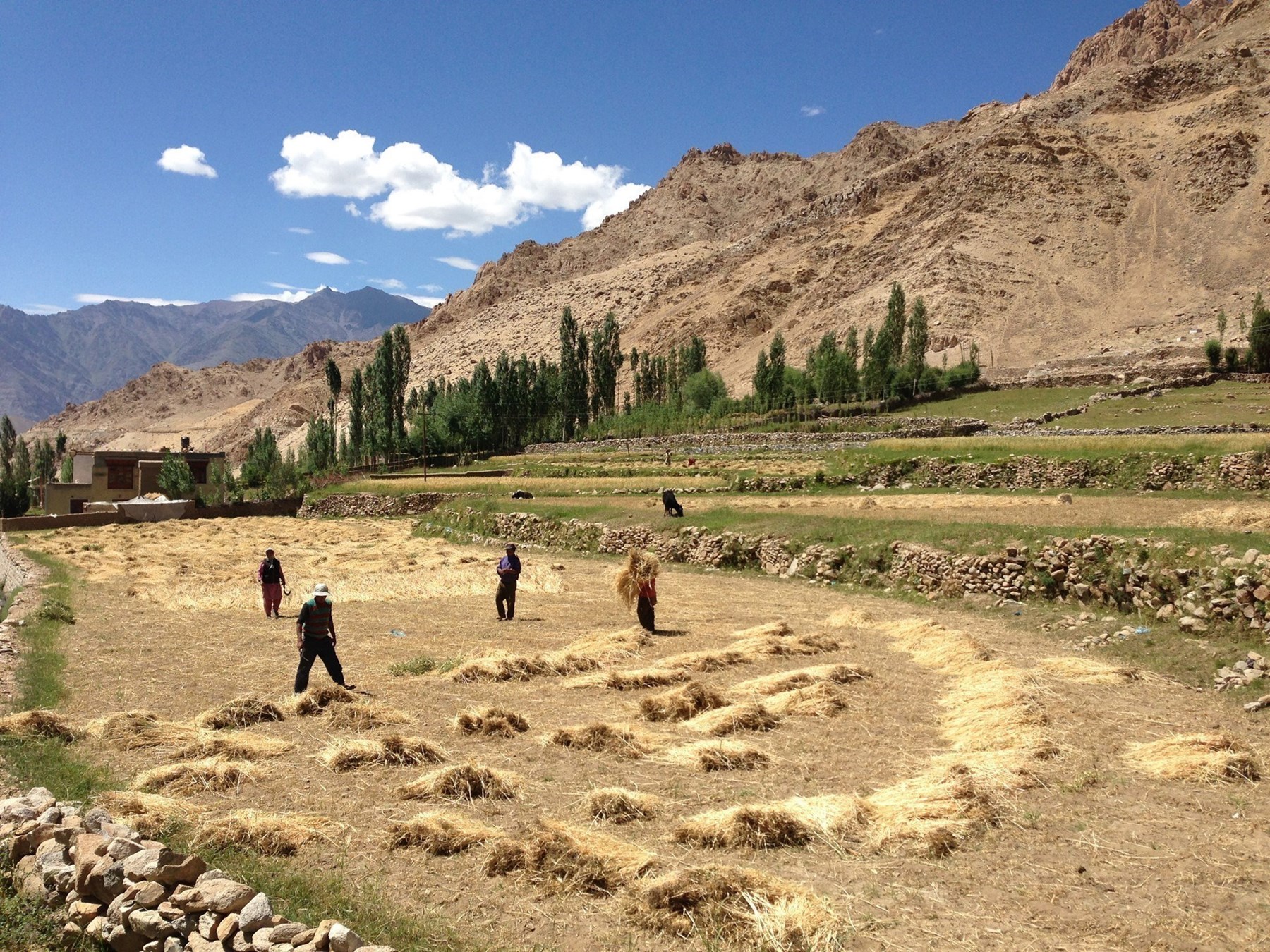 Ladakh North India James Jayasundera FAM Trip 18 