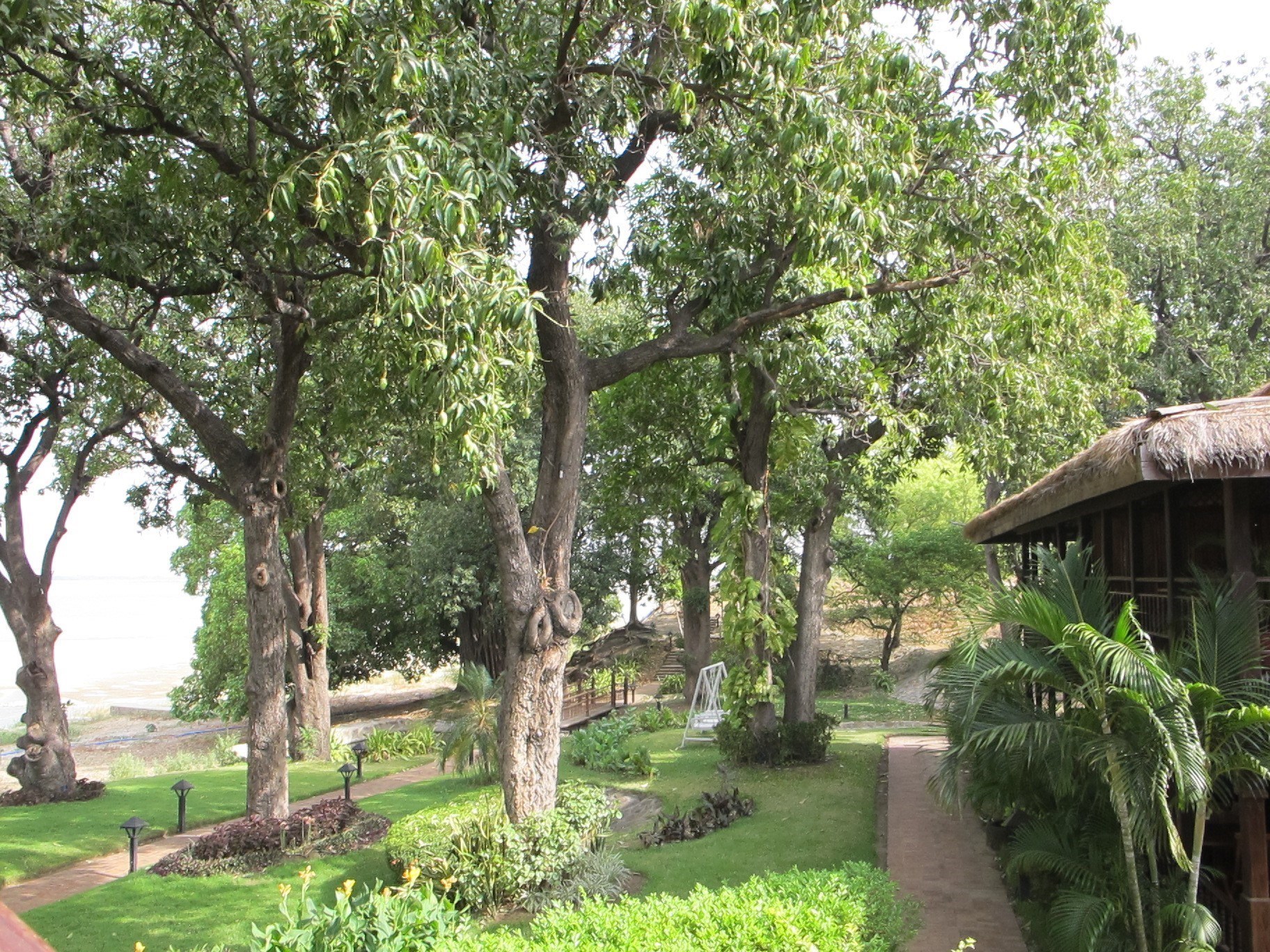 Thiripyitsaya Bagan Burma 13 