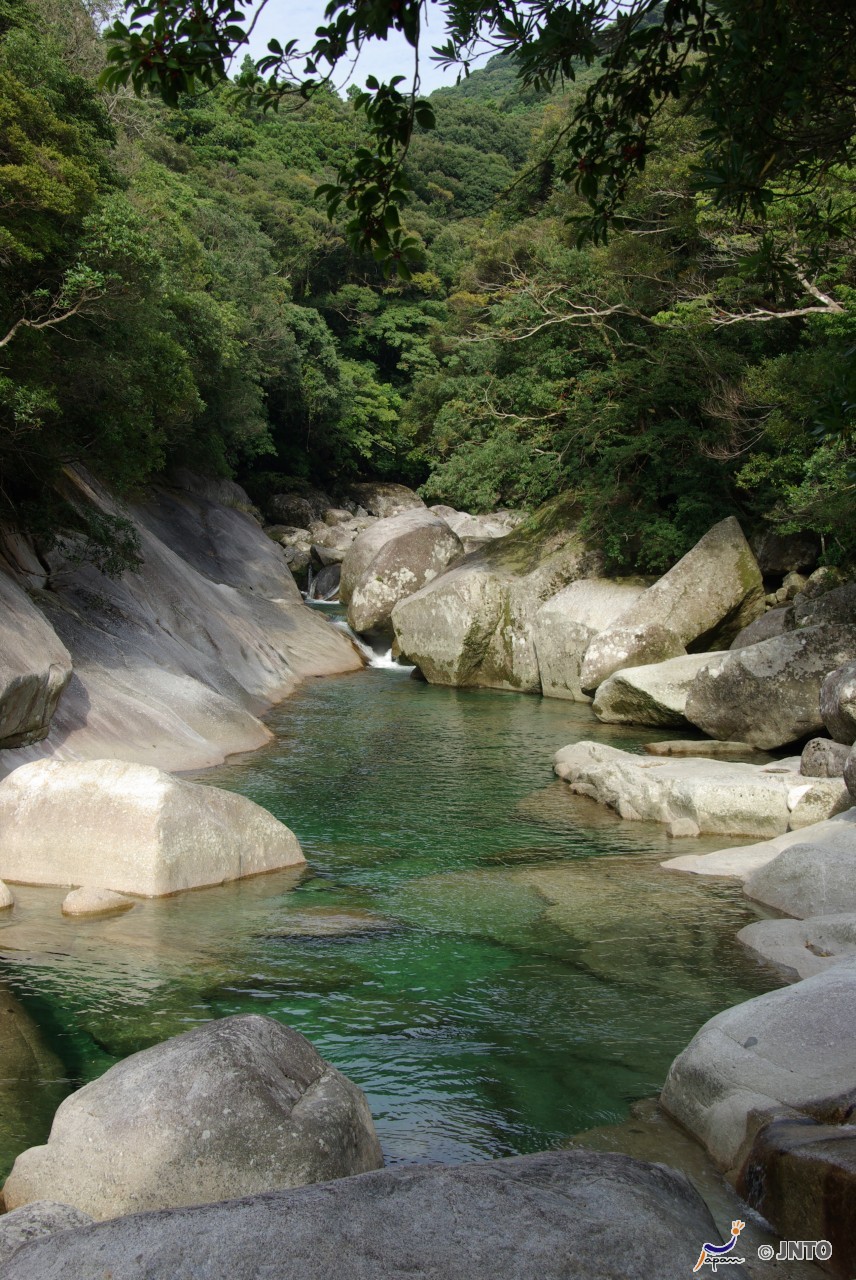 Yakushima Japan 7 