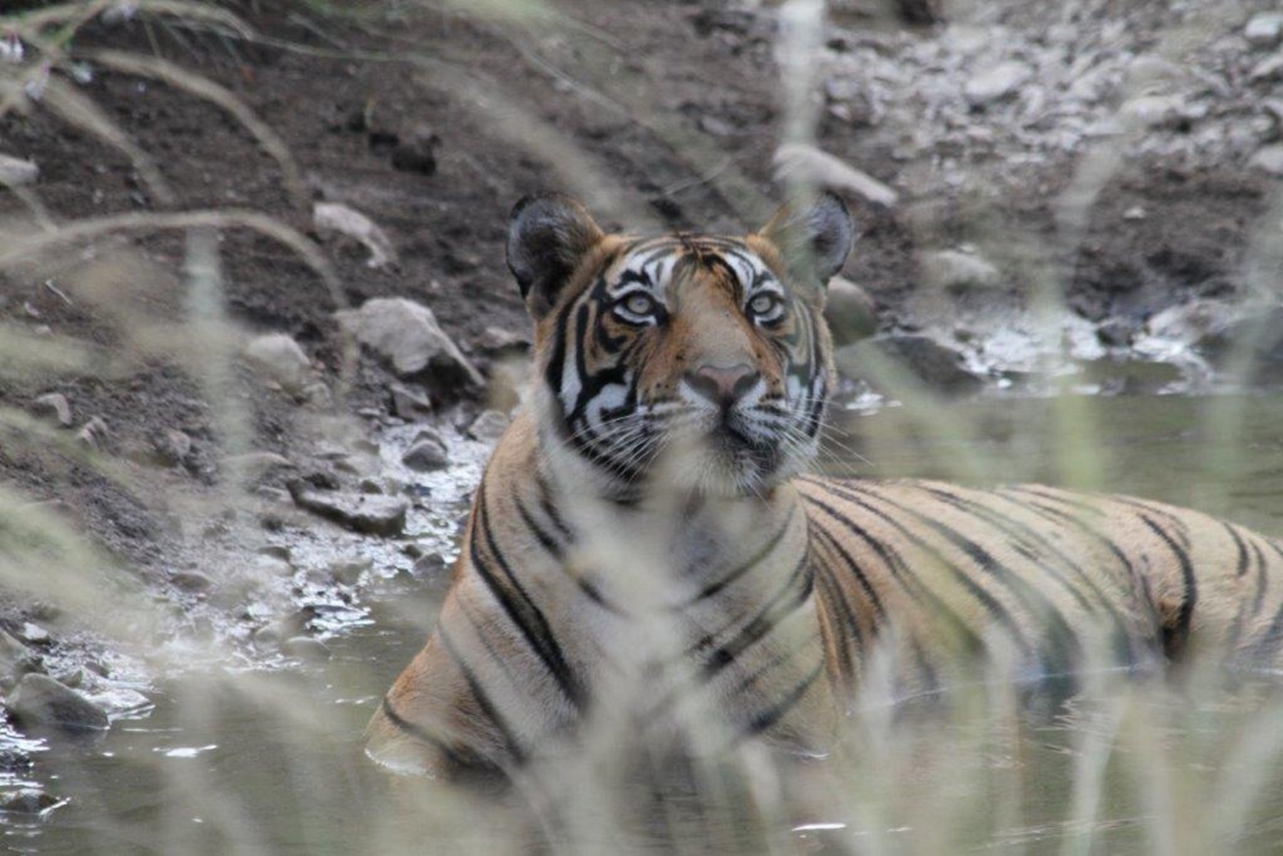 Carruthers Family North India 3 