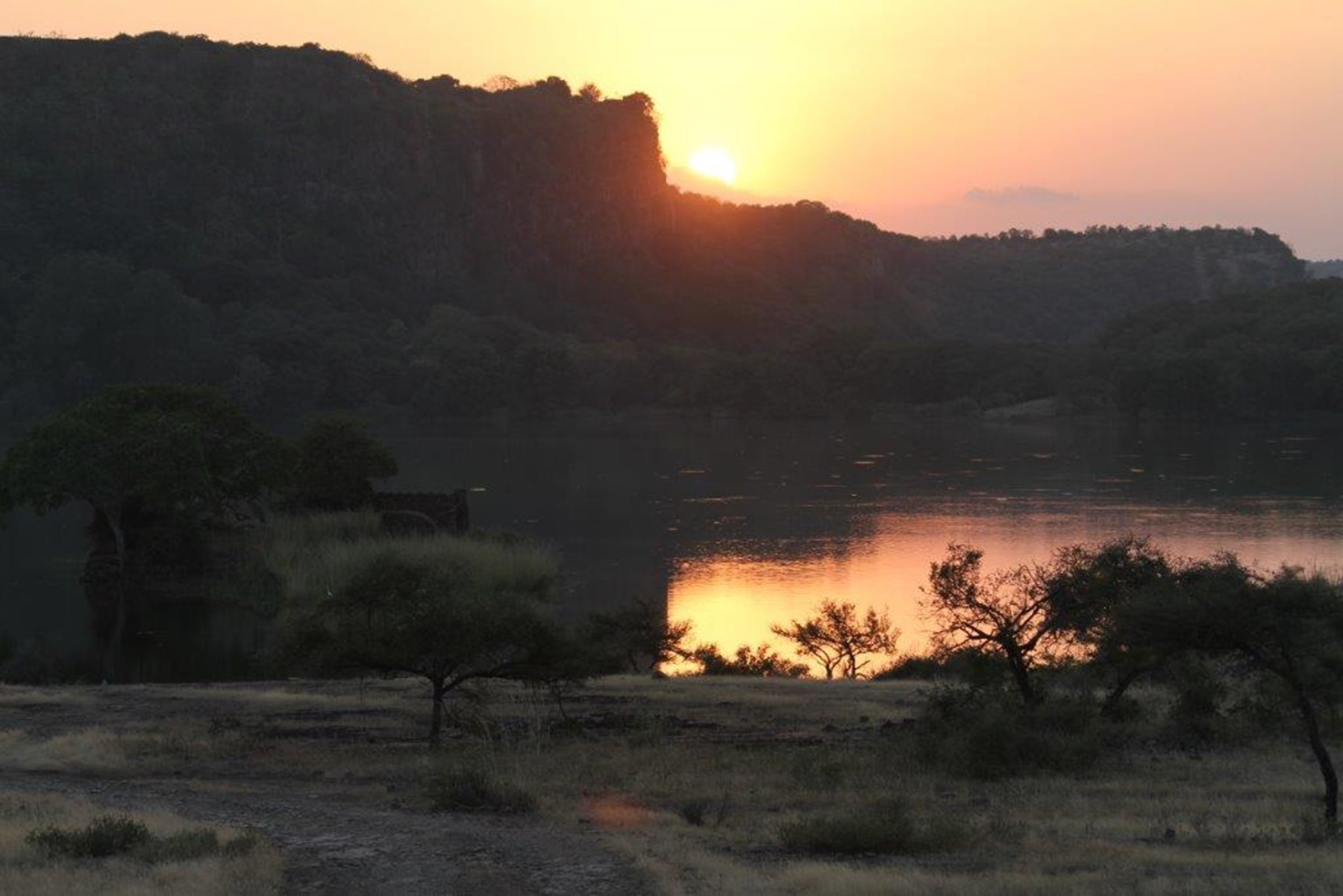 Carruthers Family North India 5 