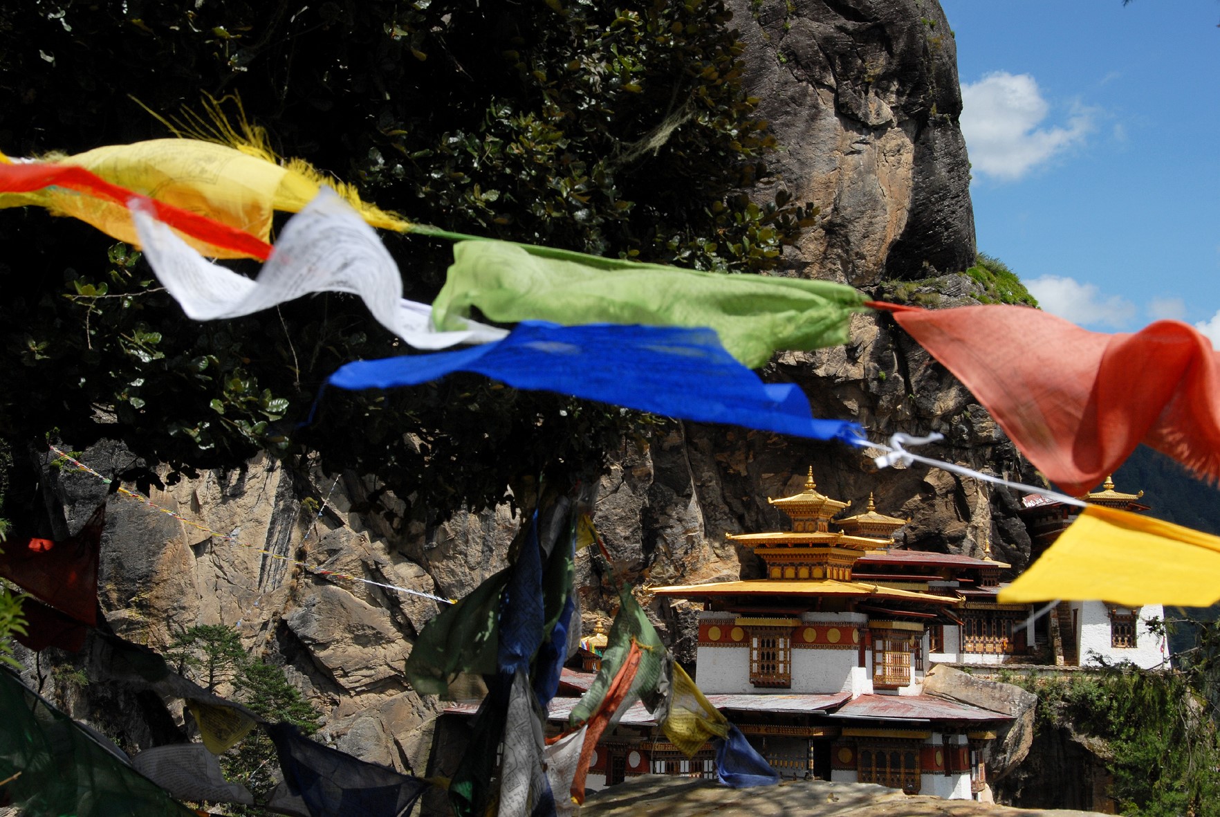 BHUTAN UMA Paro Paro 4 