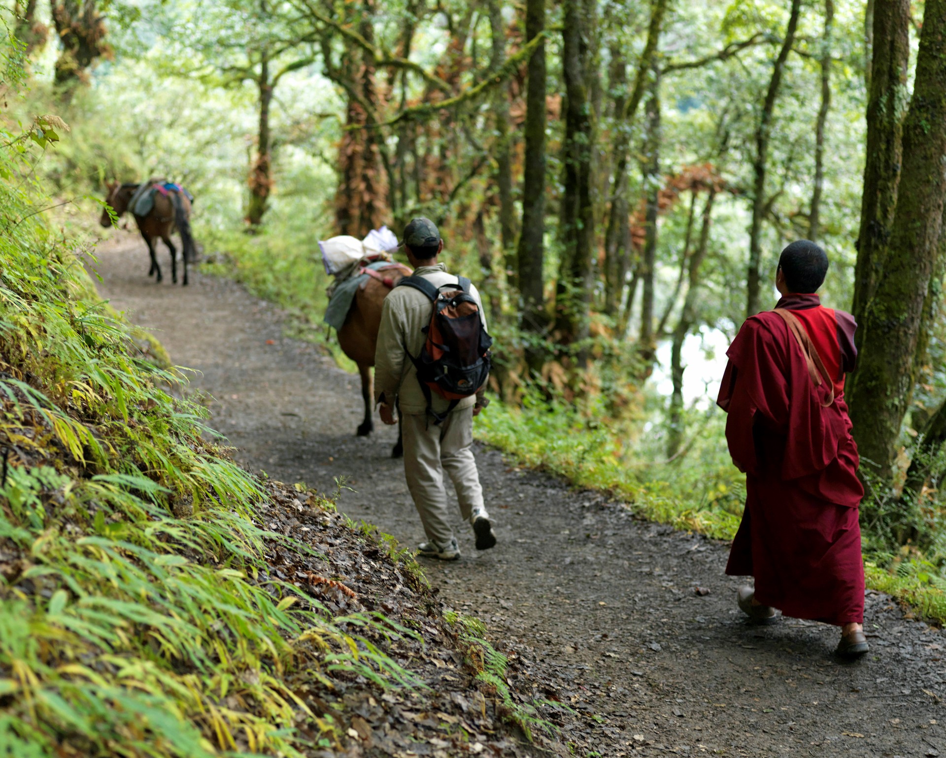 BHUTAN UMA Paro Paro 15 