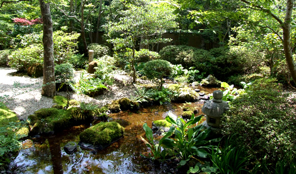 Yoshimatsu Hakone Japan 10 