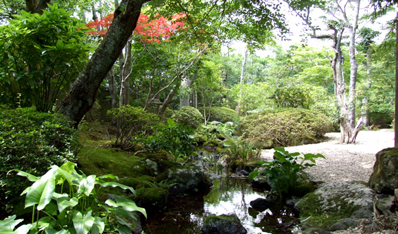 Yoshimatsu Hakone Japan 4 