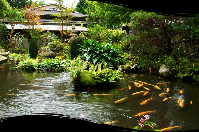 Yoshimatsu Hakone Japan 5 