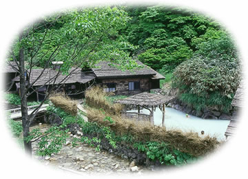 Tsurunoyu Nyuto Onsen Japan 3 