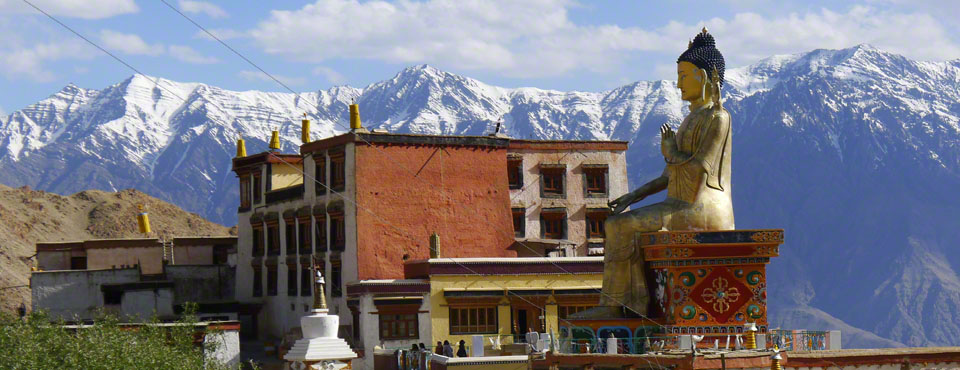 Shakti Village Experience Ladakh North India 10 