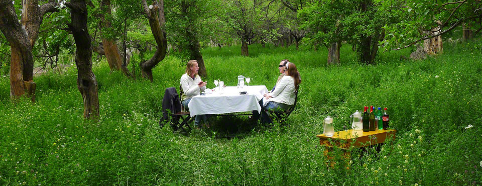 Shakti Village Experience Ladakh North India 14 