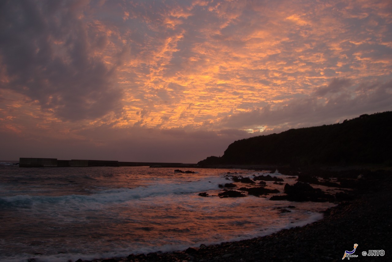 Length Of The Bullet Train Line 19 
