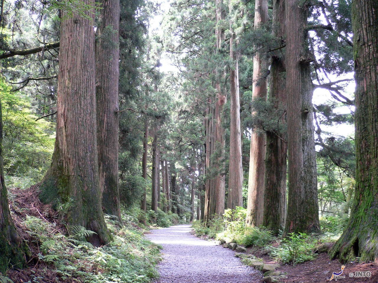 Length Of The Bullet Train Line 1 