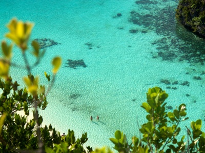 PULAU WAYAG RAJA AMPAT INDONESIA 3 Tiger Blue