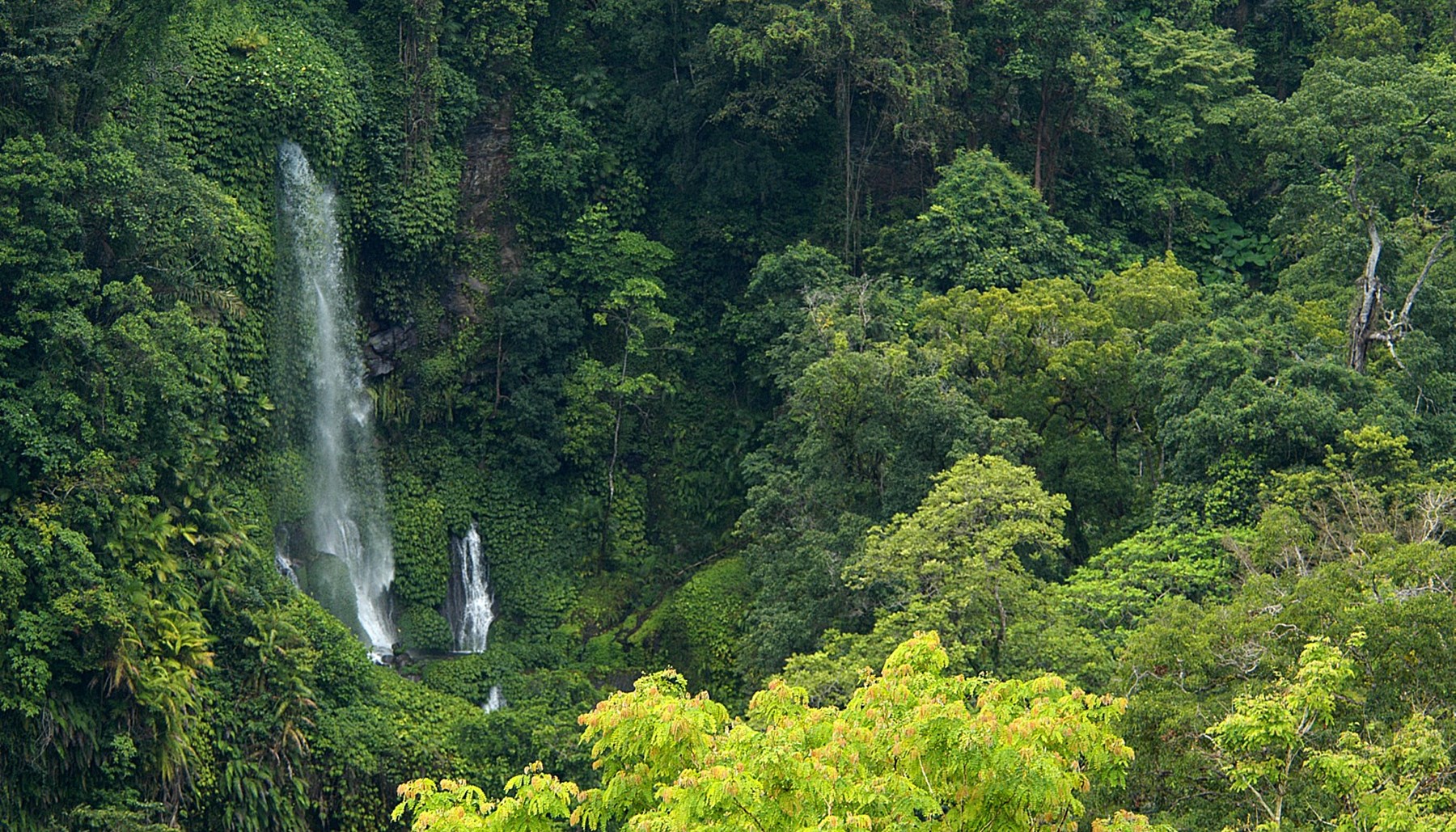 INDONESIA - Oberoi Lombok 3