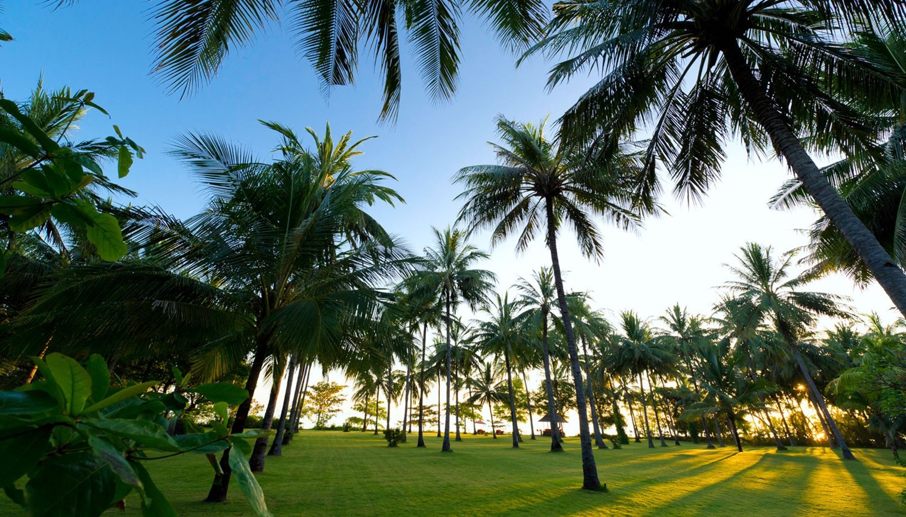 INDONESIA - The Anandita Palm Tree Lawn Lombok Indonesia