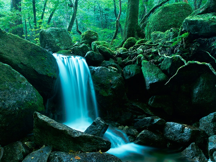Sankara Yakushima Japan 4