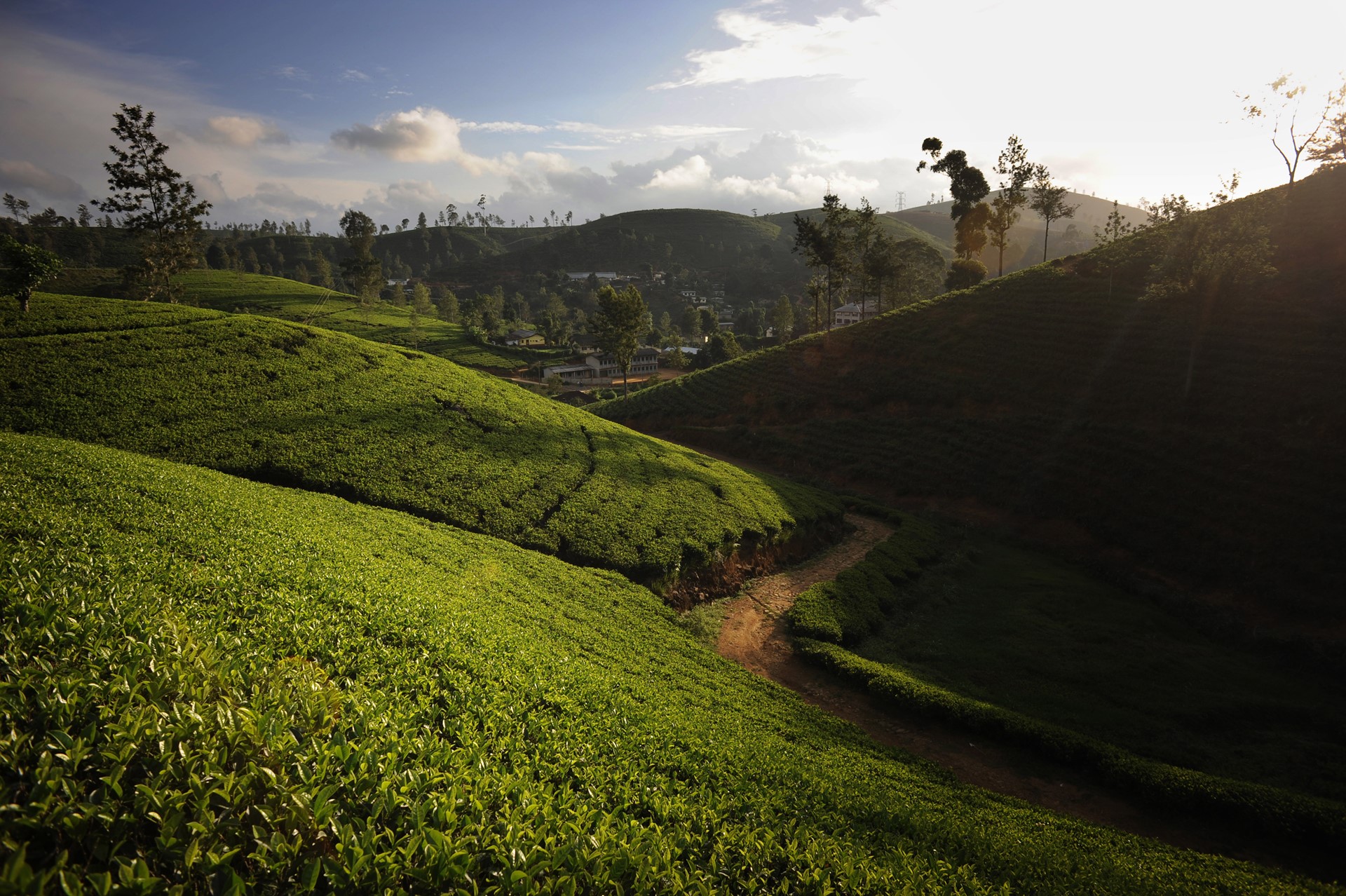 Summerville Bungalow Tea Trails Sri Lanka 1 