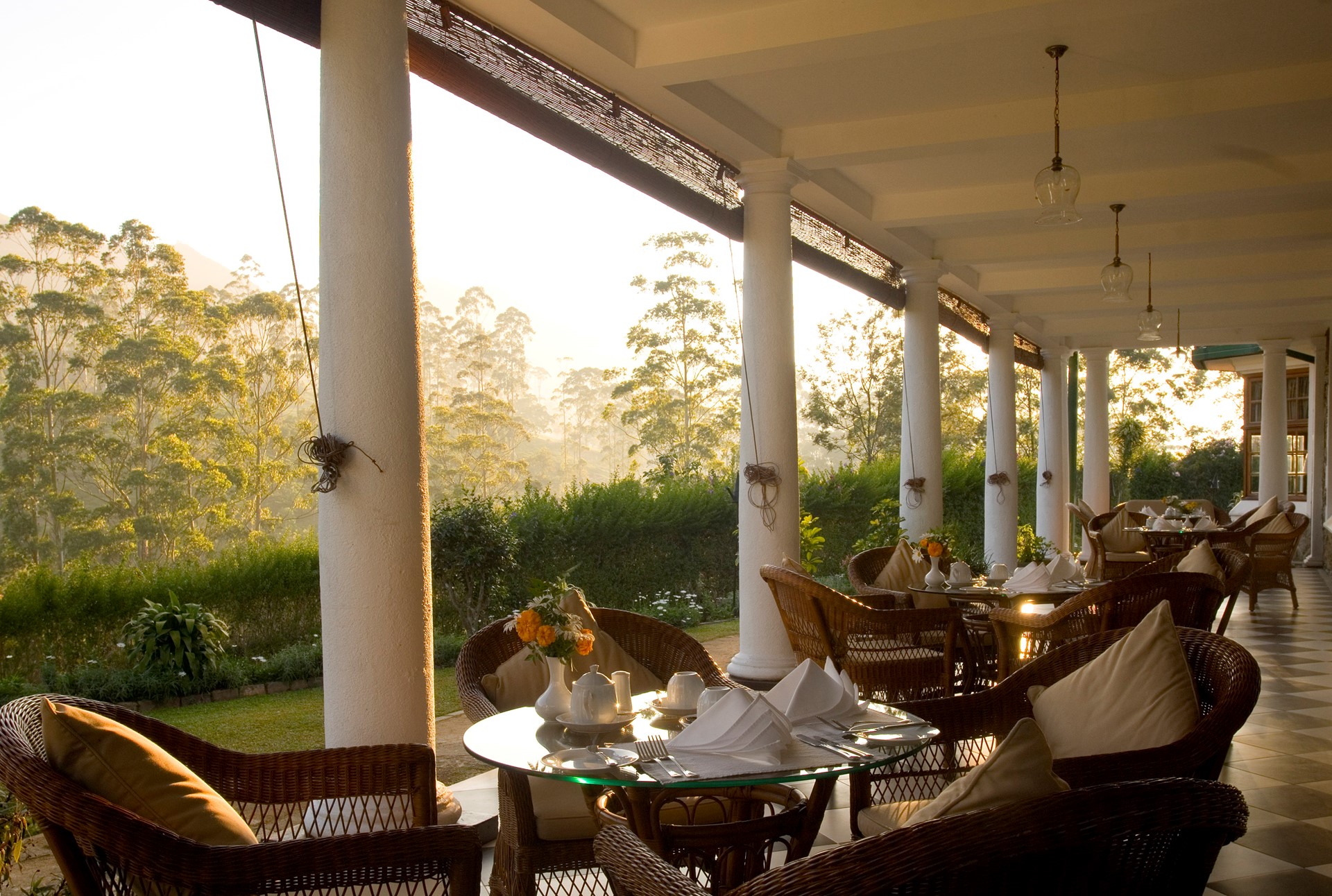 Tiensin Tea Trails Sri Lanka 6 