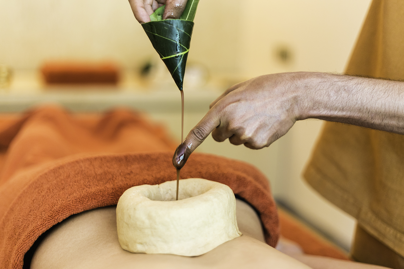 VANA MALSI Estate Deradun Uttarakhand North India 20 