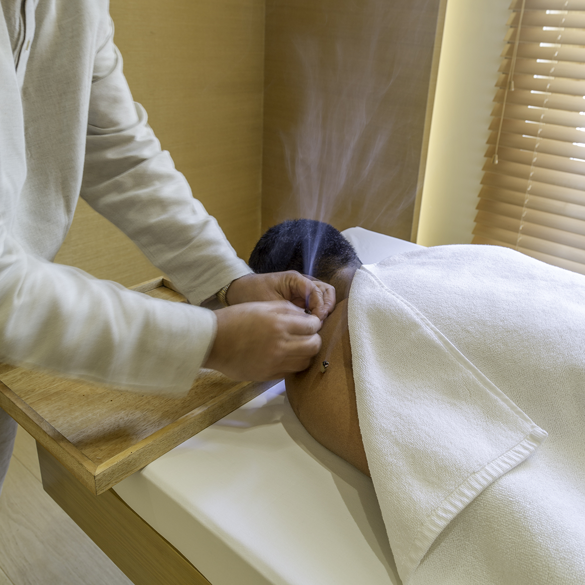 VANA MALSI Estate Deradun Uttarakhand North India 21 