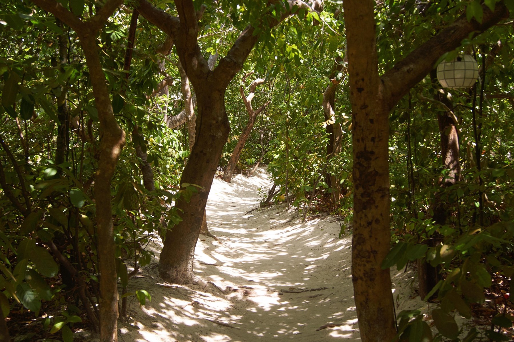 Mr Wyburd Amanpulo Philippines 18 