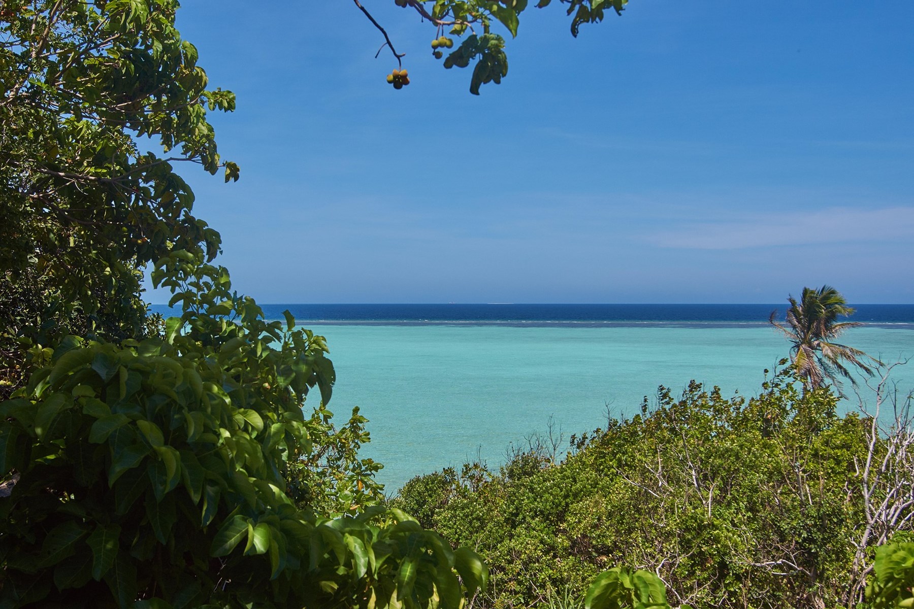 Mr Wyburd Amanpulo Philippines 9 