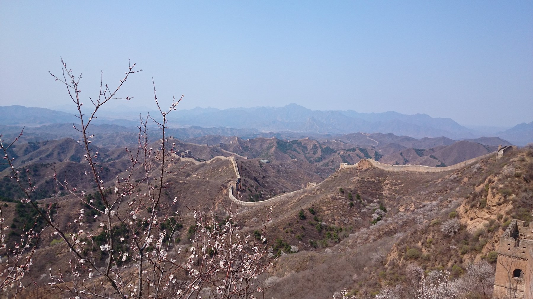 Mr Mrs Beechey China April 2015 5 