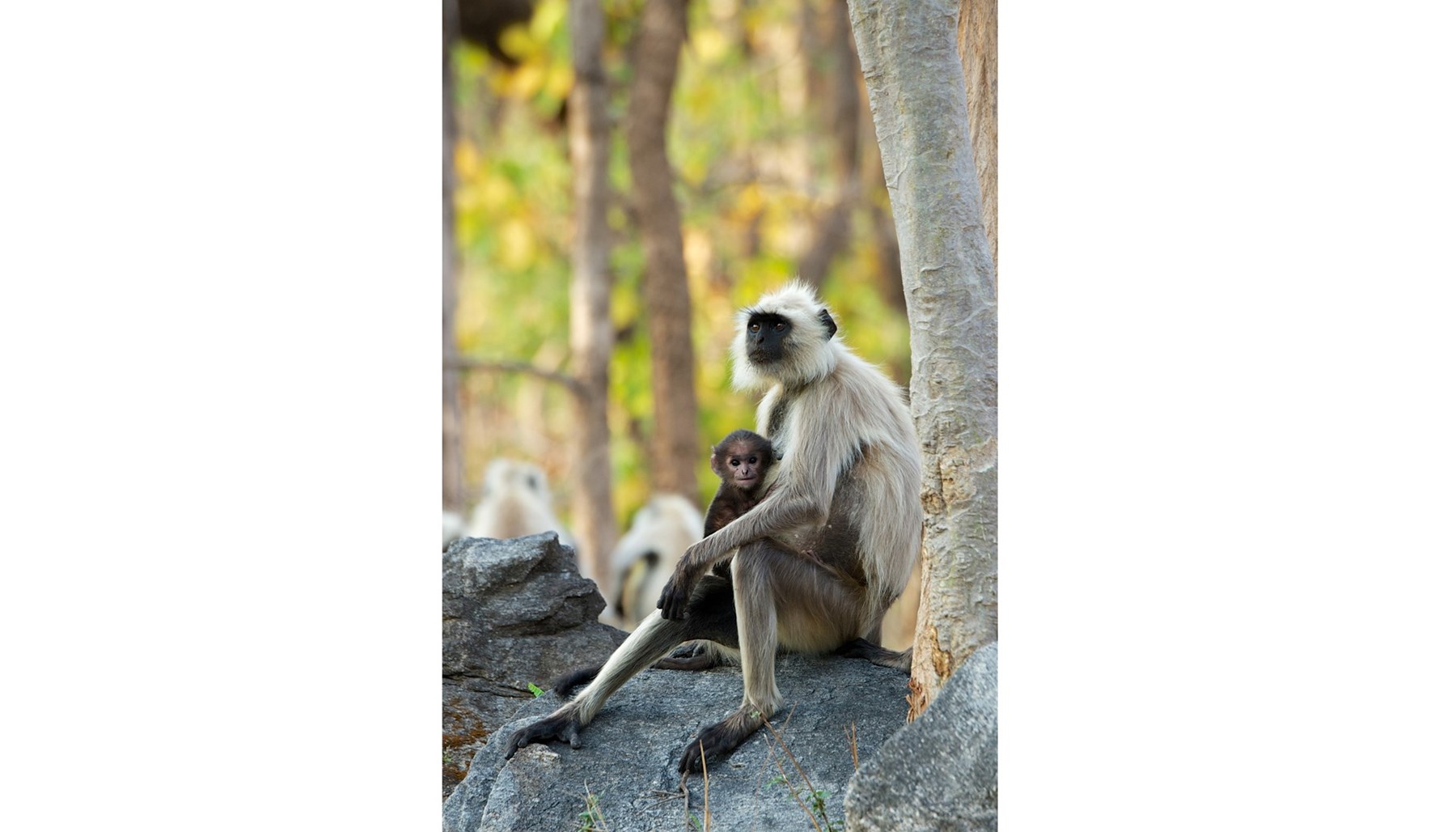 Atkinson India April 2015 Ampersand Travel 13 