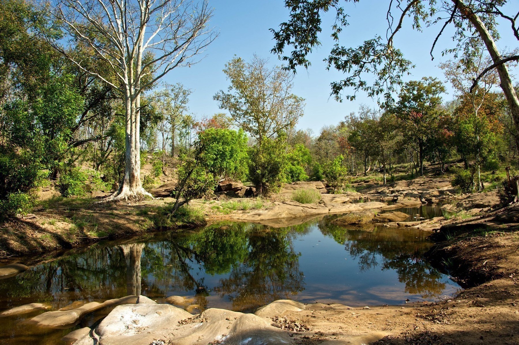 Atkinson India April 2015 Ampersand Travel 16 