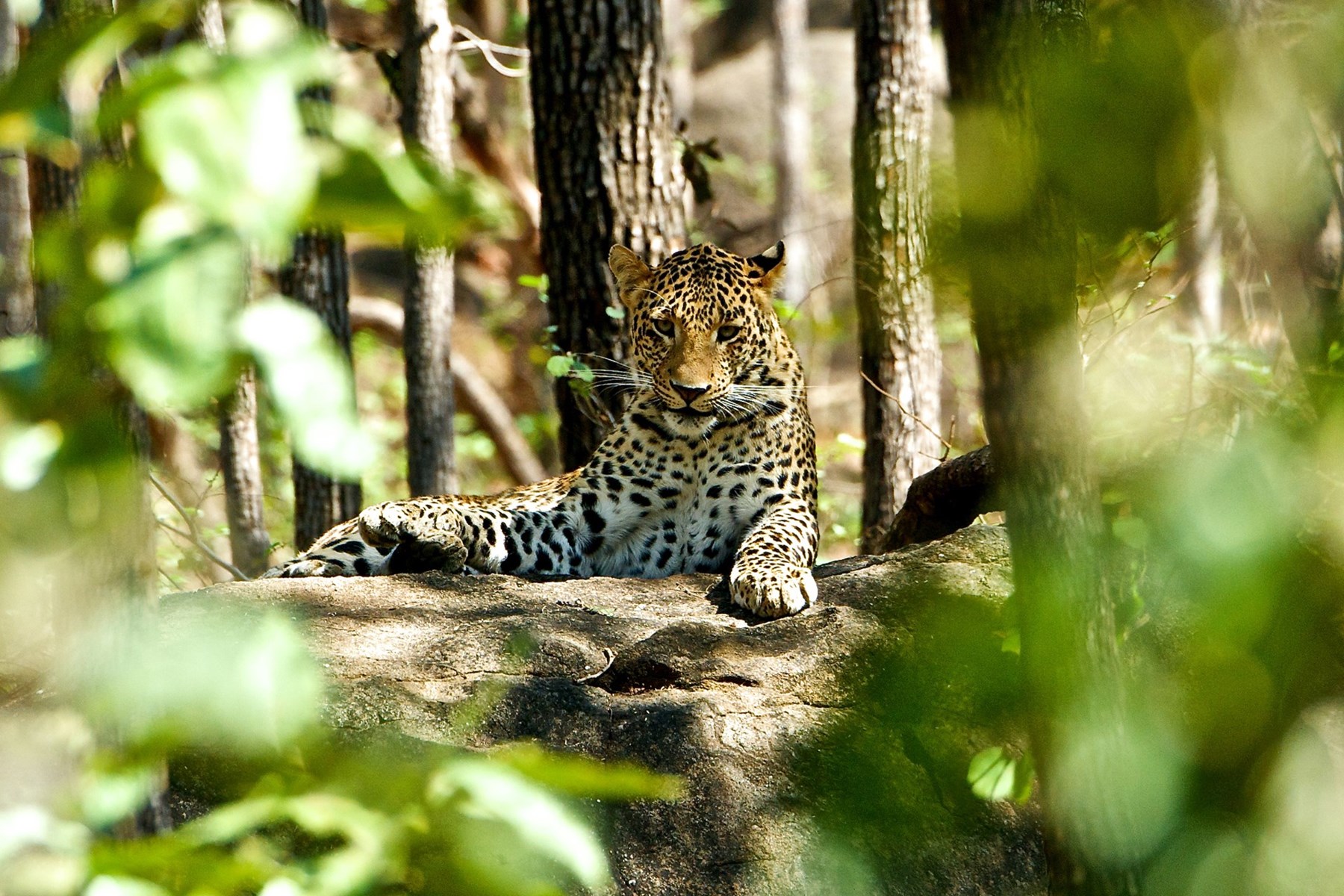 Atkinson India April 2015 Ampersand Travel 17 