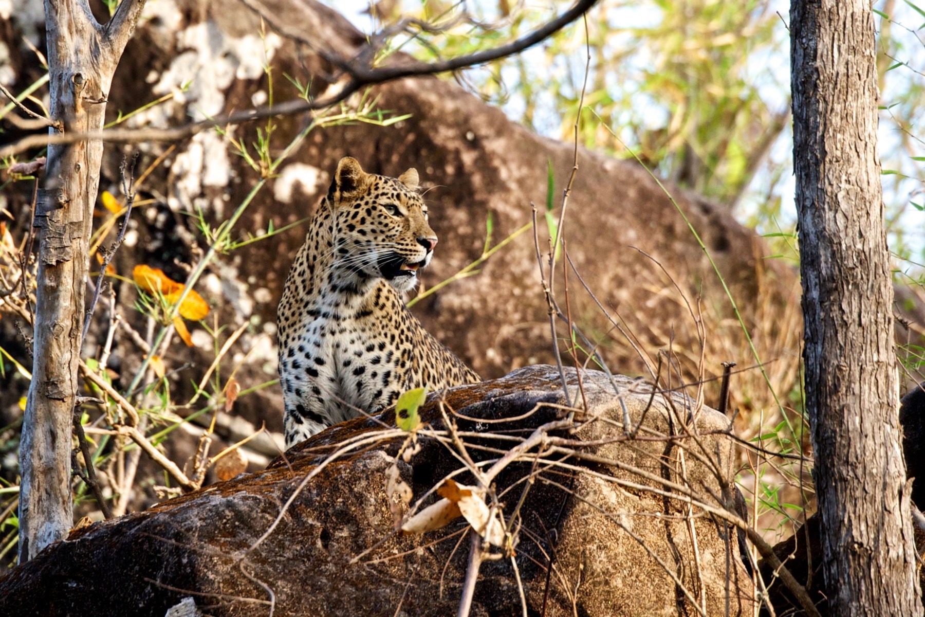 Atkinson India April 2015 Ampersand Travel 18 